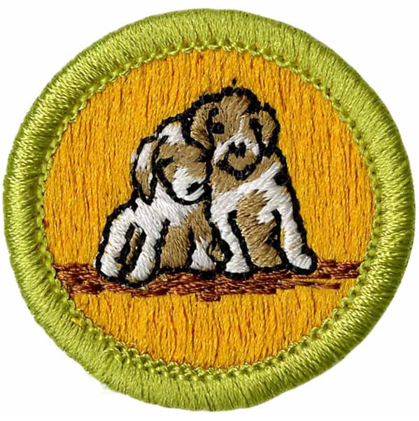 dog care